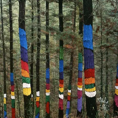 Urdaibai Km0 *
