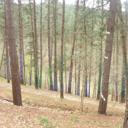 Urdaibai Km0 *